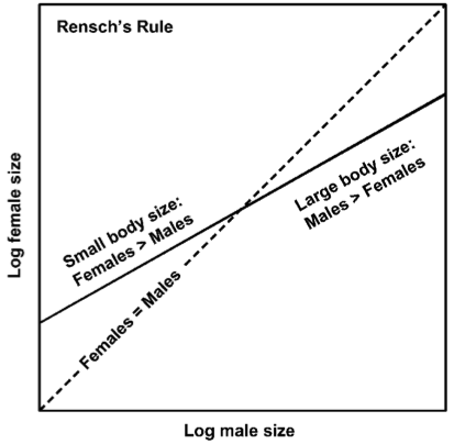 Linear Meaurements and Landmarks