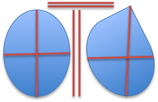 Linear Meaurements and Landmarks